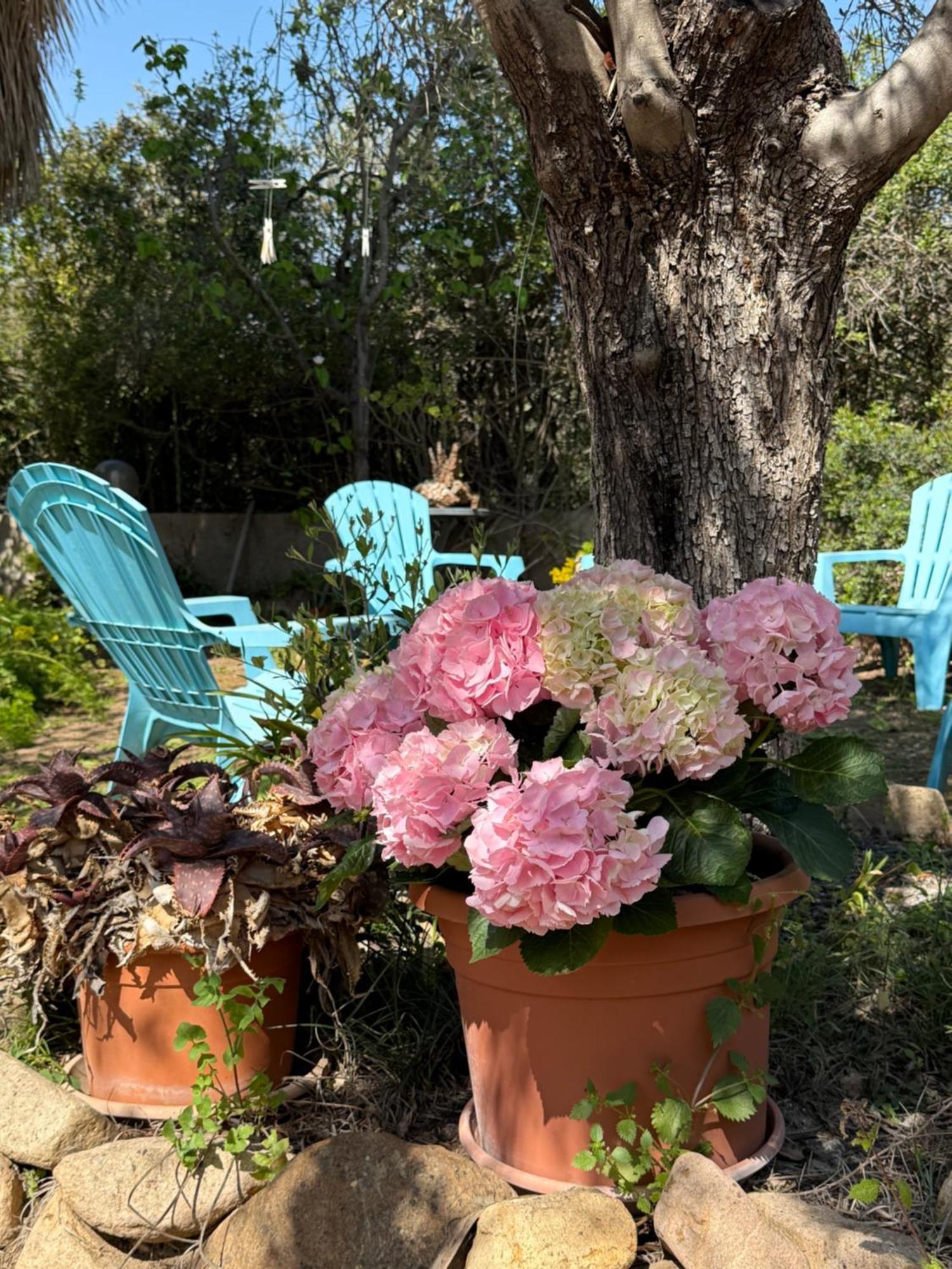 Lovely Home 5 Min Walk To The Beach, 3 Bedrooms Ample Outdoor Relax And Wifi Capitana Eksteriør bilde